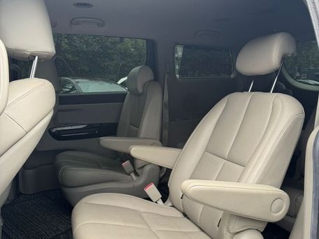 Kia Carnival, 2019 — фото 11
