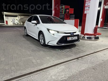 Toyota Levin, 2021 — 照片 5