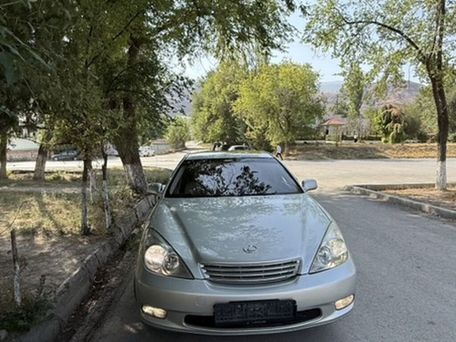 Lexus ES, 2003 — фото 12