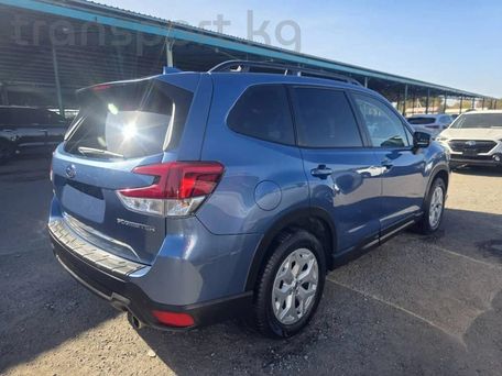 Subaru Forester, 2023 — photo 12