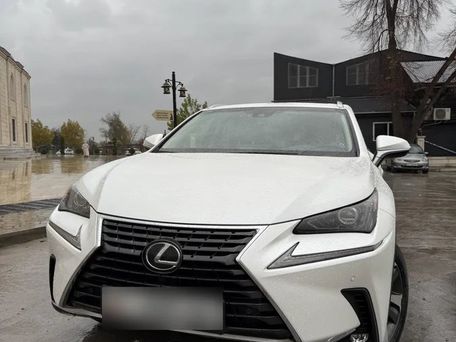 Lexus NX, 2019 — photo 2