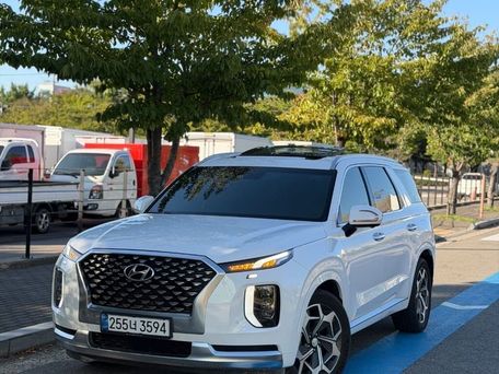 Hyundai Palisade, 2021 — сүрөт 1