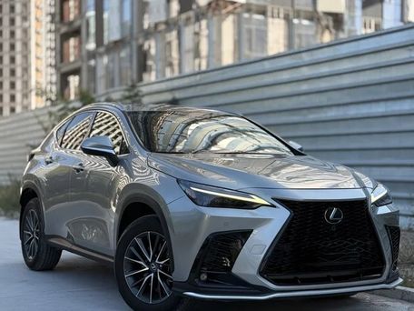 Lexus NX, 2023 — фото 3