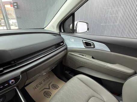 Kia Carnival, 2025 — photo 10