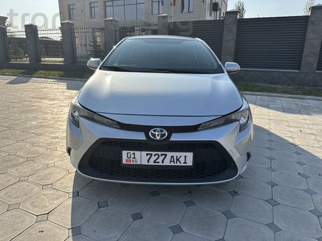 Toyota Levin, 2020 — сүрөт 1