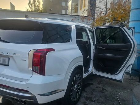 Hyundai Palisade, 2022 — сүрөт 8
