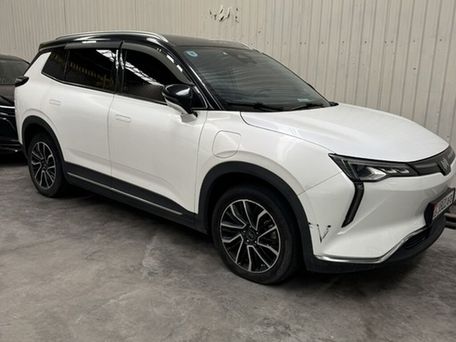 Weltmeister W6, 2022 — 照片 2