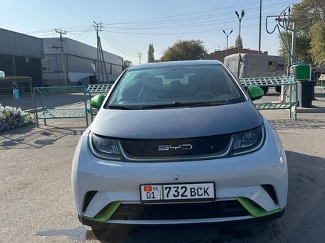 BYD Dolphin, 2022 — сүрөт 1