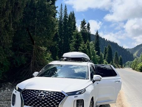 Hyundai Palisade, 2022 — photo 1