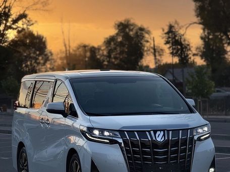 Toyota Alphard, 2019 — photo 1