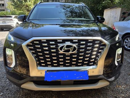 Hyundai Palisade, 2019 — photo 2