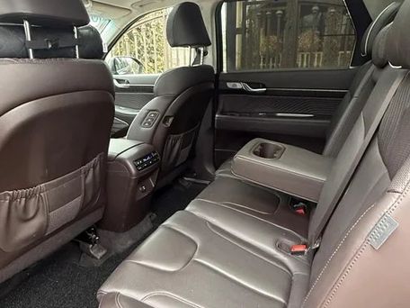 Hyundai Palisade, 2023 — photo 7