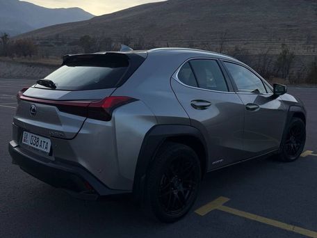 Lexus UX, 2019 — photo 6