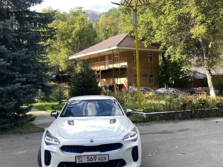 Kia Stinger, 2020 — сүрөт 8