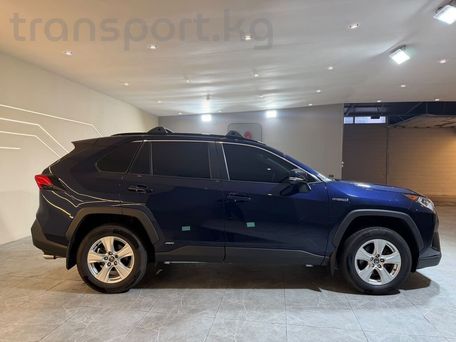 Toyota RAV4, 2020 — сүрөт 3