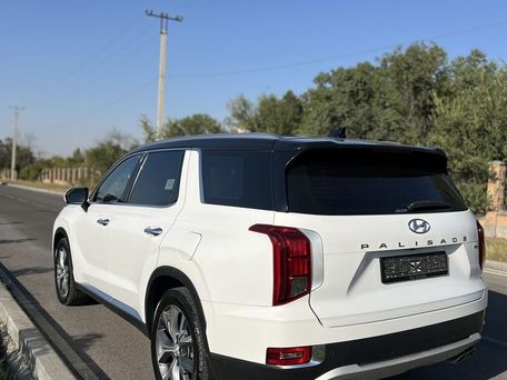 Hyundai Palisade, 2019 — фото 3