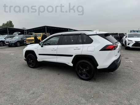 Toyota RAV4, 2019 — photo 10