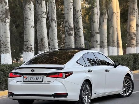 Lexus ES, 2019 — фото 2
