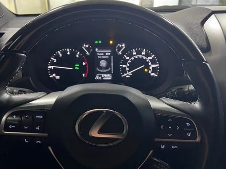 Lexus GX, 2023 — photo 10