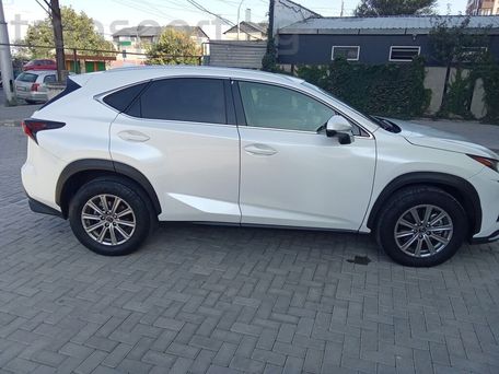 Lexus NX, 2020 — фото 15