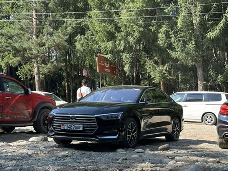 BYD E9, 2021 — photo 5