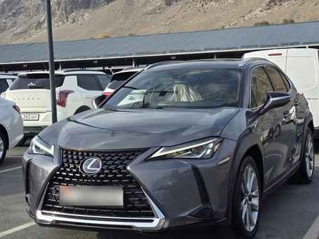 Lexus UX, 2021 — сүрөт 2