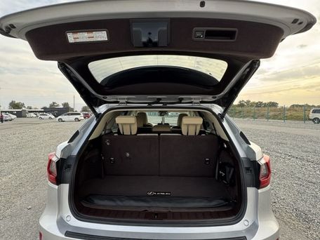Lexus RX, 2018 — фото 10