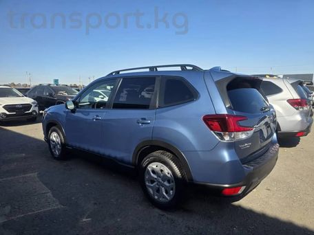 Subaru Forester, 2023 — photo 9