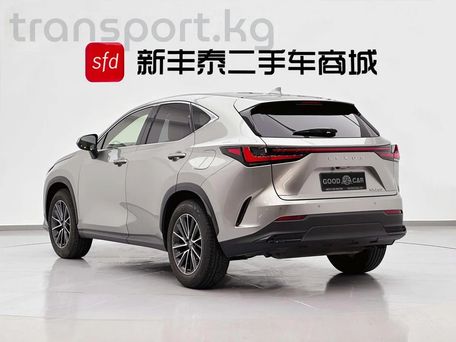 Lexus NX, 2022 — фото 4