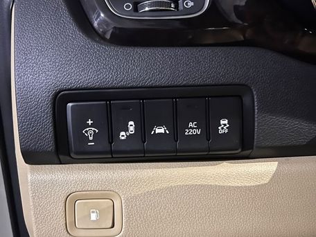 Kia Carnival, 2019 — фото 12
