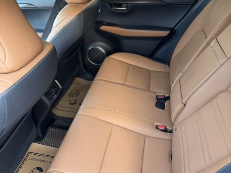 Lexus NX, 2019 — photo 11