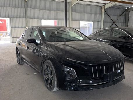 Hongqi E-QM5, 2021 — 照片 5