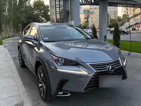 Lexus NX, 2021 — фото 1