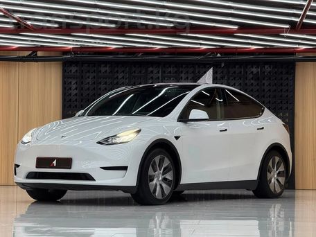 Tesla Model Y, 2023 — фото 1