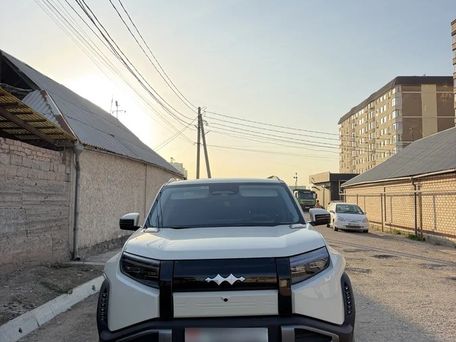 BYD FangChengBao Leopard 5, 2025 — photo 1