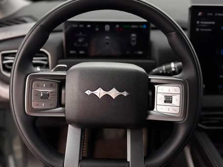 BYD FangChengBao Leopard 5, 2025 — photo 10