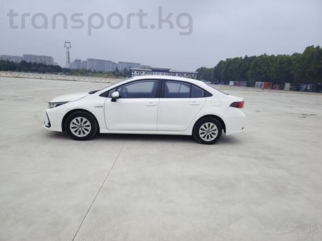 Toyota Corolla, 2021 — 照片 6