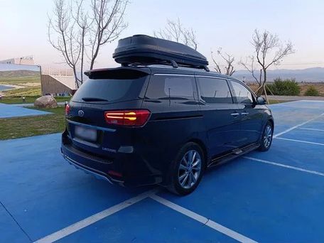 Kia Carnival, 2019 — фото 11