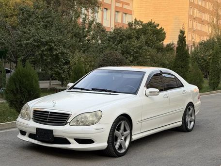 Mercedes-Benz S-Класс, 2003 — 照片 3