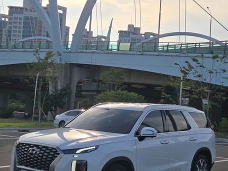 Hyundai Palisade, 2021 — фото 3