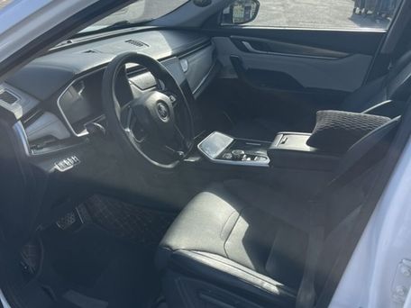 Weltmeister EX5, 2020 — photo 4