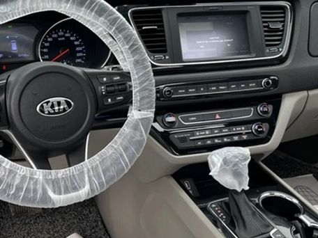 Kia Carnival, 2019 — photo 8