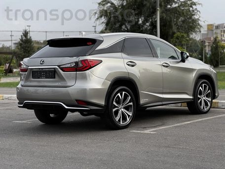 Lexus RX, 2020 — фото 6