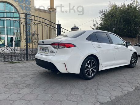 Toyota Levin, 2023 — 照片 2