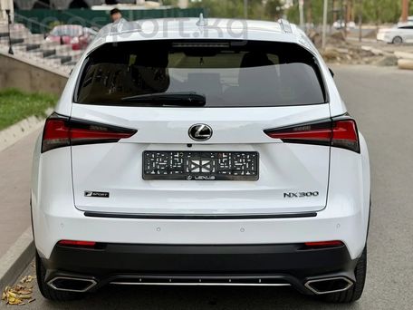 Lexus NX, 2018 — фото 6
