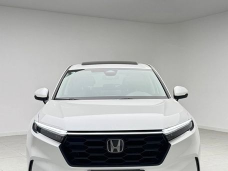 Honda CR-V, 2024 — фото 3