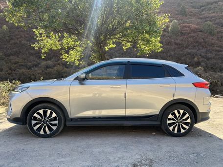 Weltmeister EX5, 2020 — photo 8