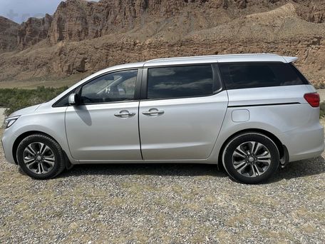 Kia Carnival, 2019 — фото 8