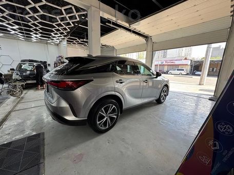 Lexus RX, 2023 — photo 6