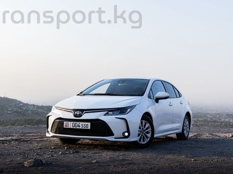 Toyota Corolla, 2019 — фото 1